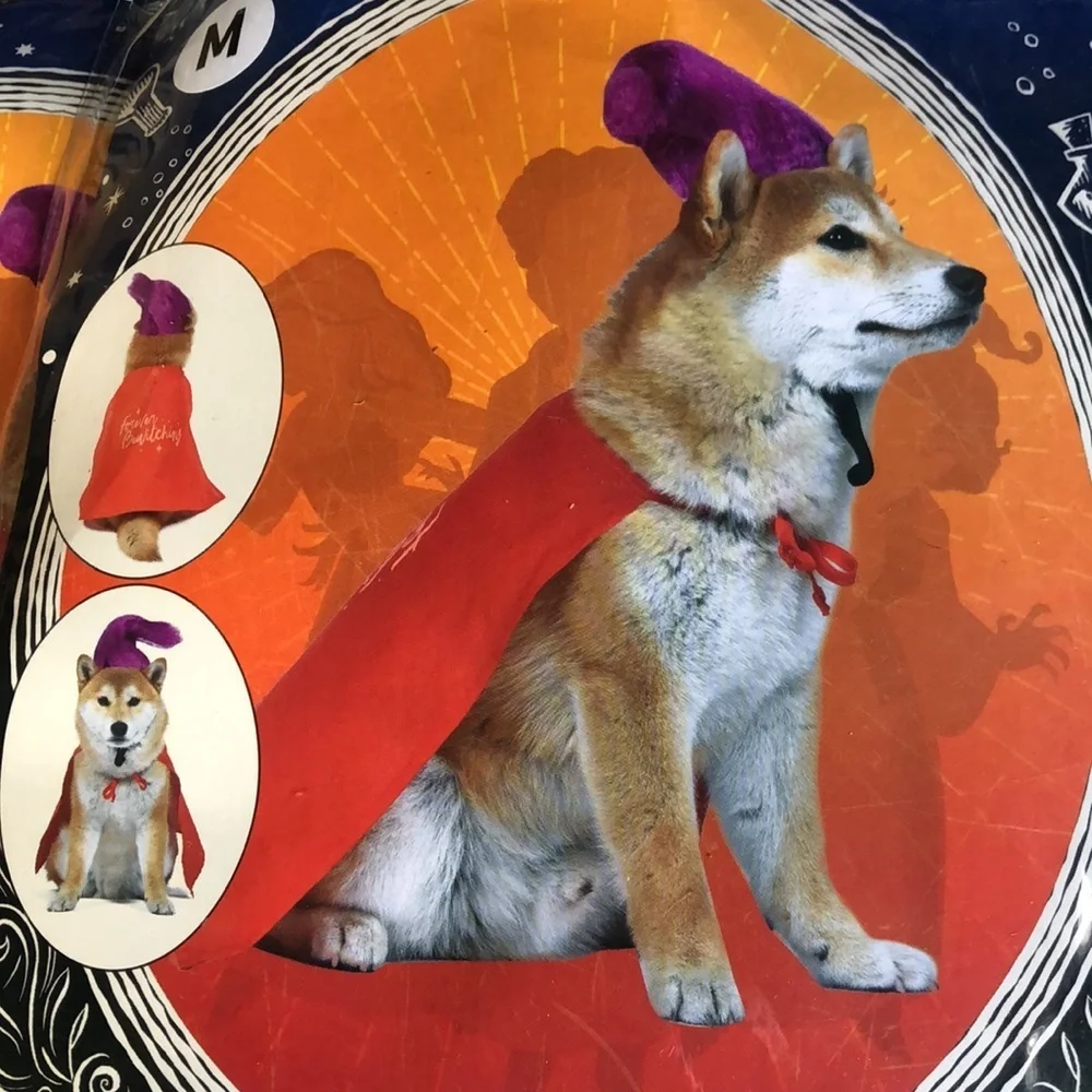 NWT Disney Mary Sanderson Dog Costume